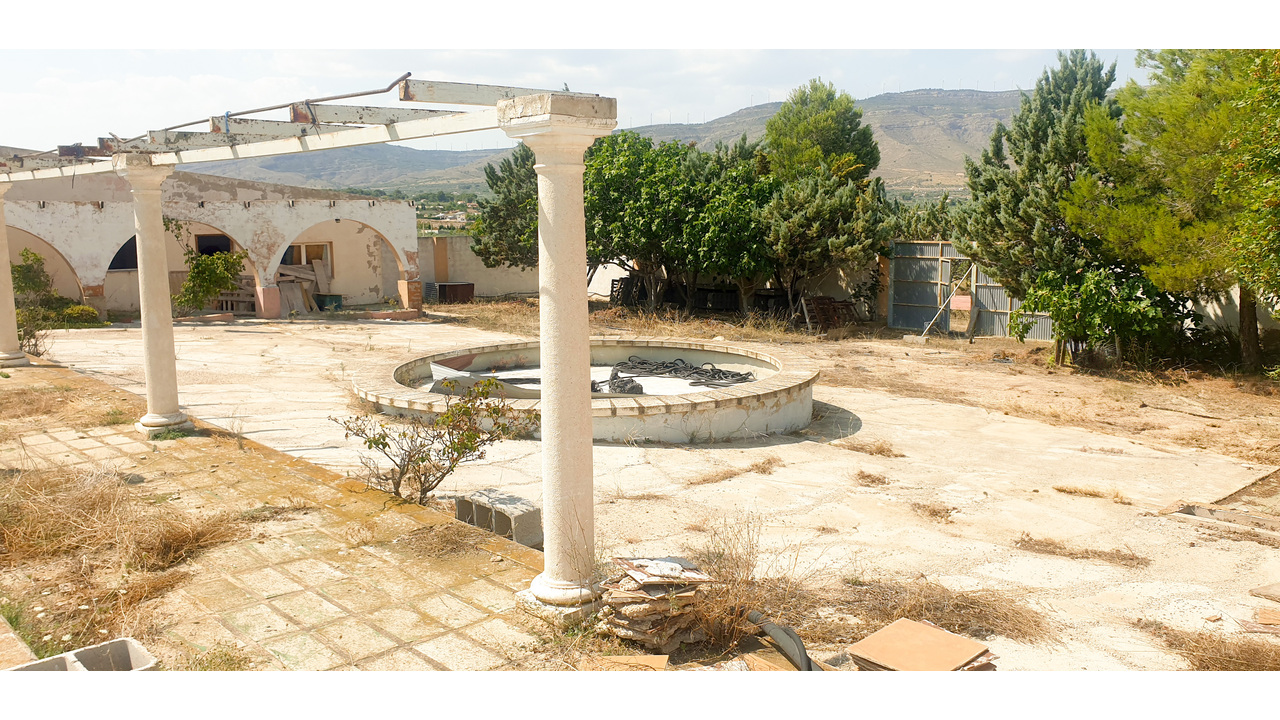 Olive Grove Estates Real Estate Caudete Spanish amazing (3)