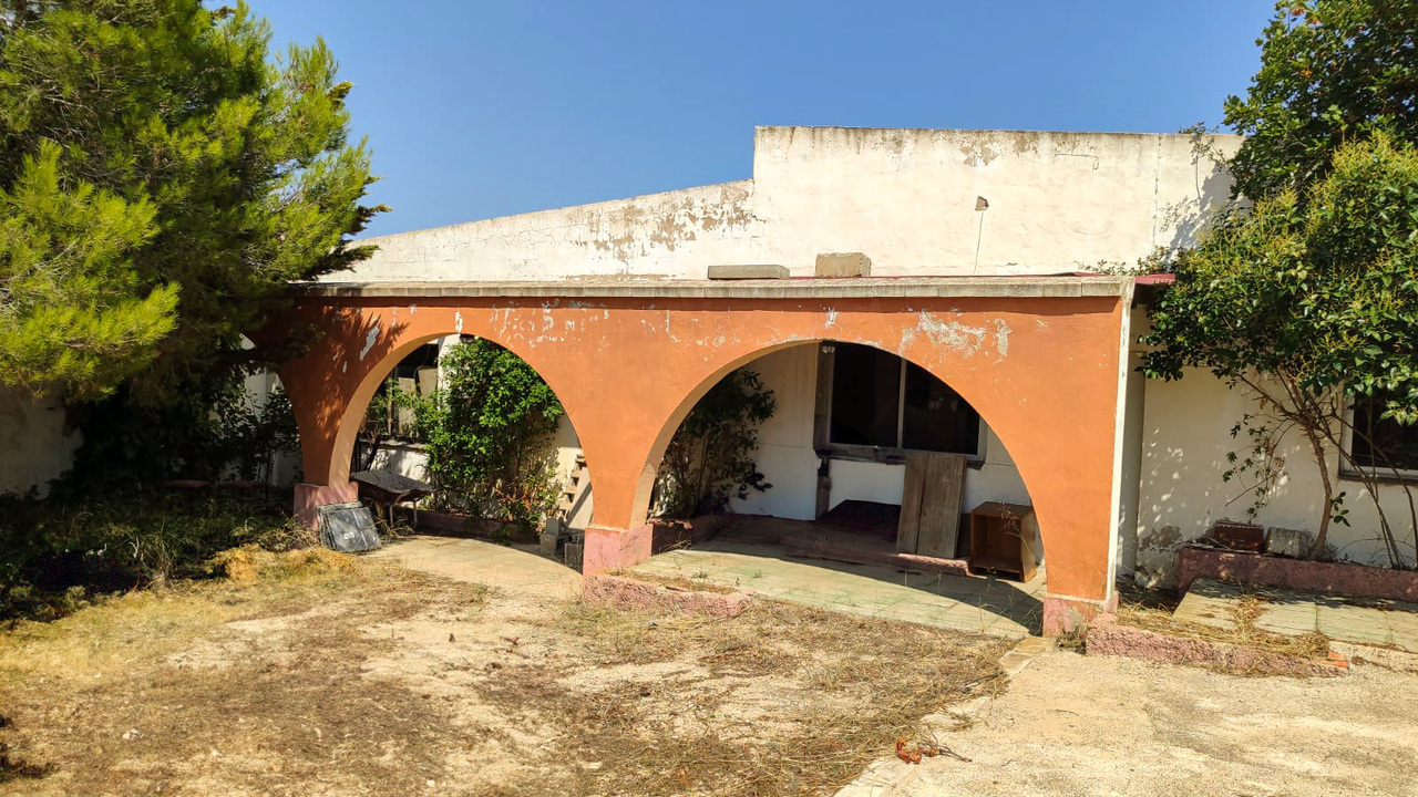 Olive Grove Estates Real Estate Caudete Spanish amazing (30)