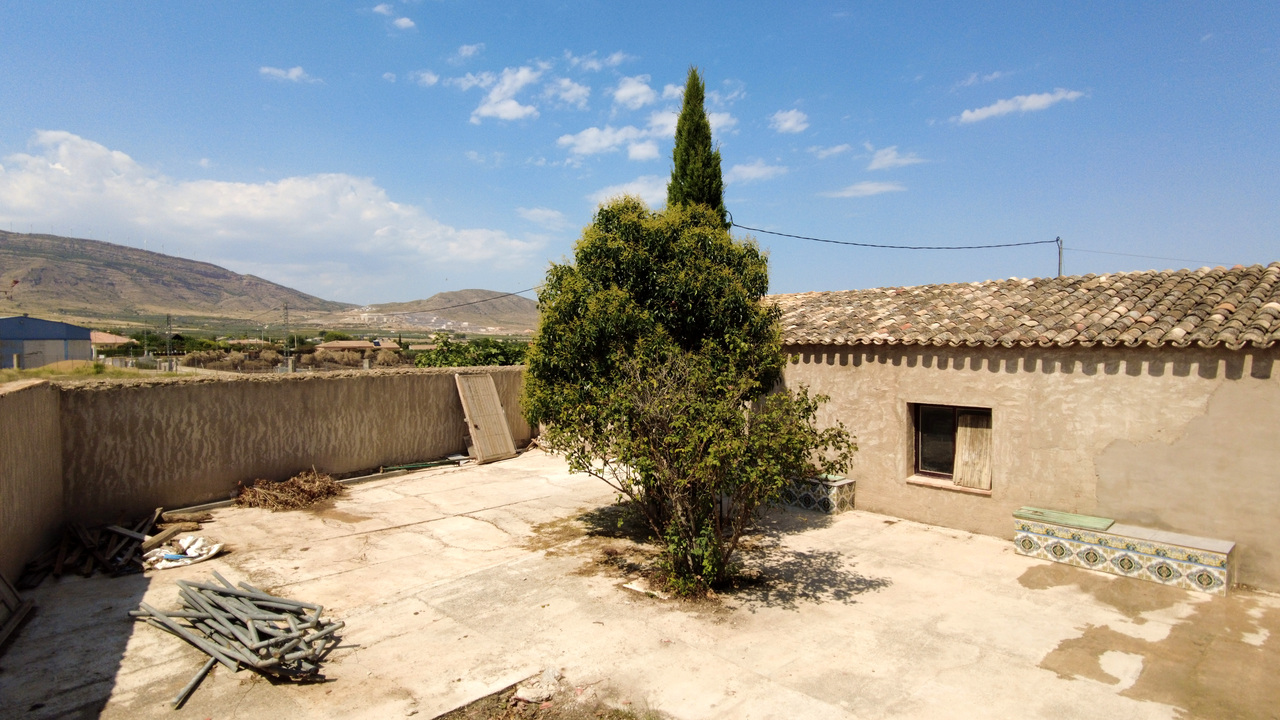 1 Olivive Grove Estates Spanish properties for sale Caudete Se Vende (6)