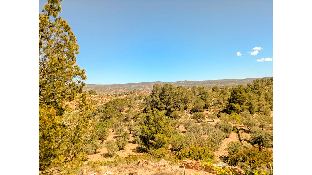 Olive Grove Estates Ayora Valencia Spanish House for sale Off-Grid (39)