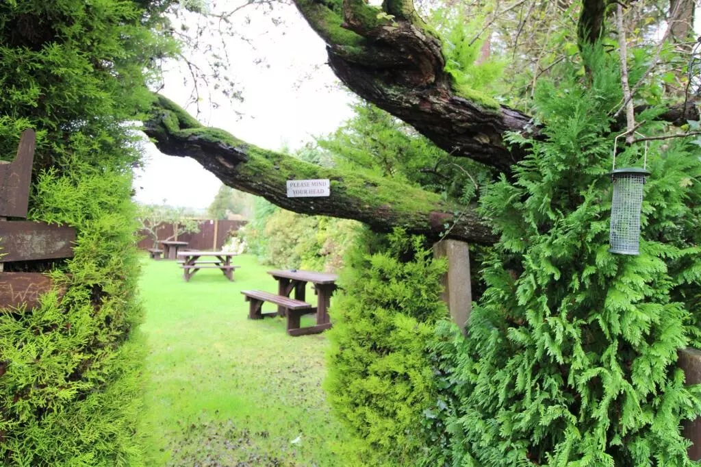 The Holland Arms, Trofarth, Abergele, Conwy, LL22 8BG.