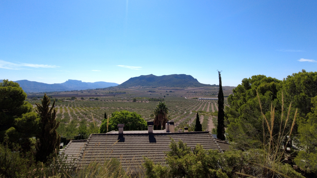 DJI_0085.JPG