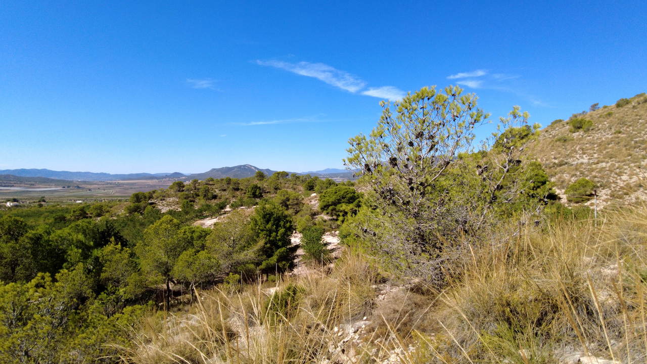DJI_0086.JPG