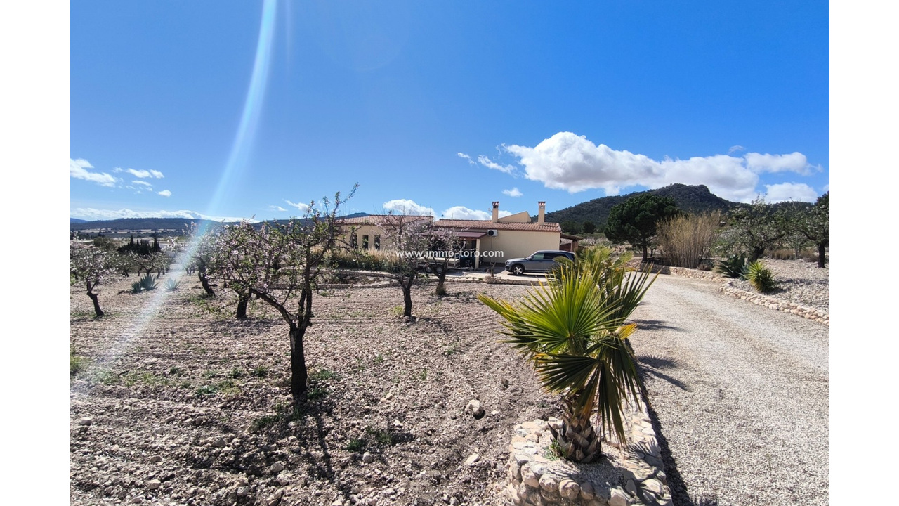 resale-villa-sax-salinas_378027_xl