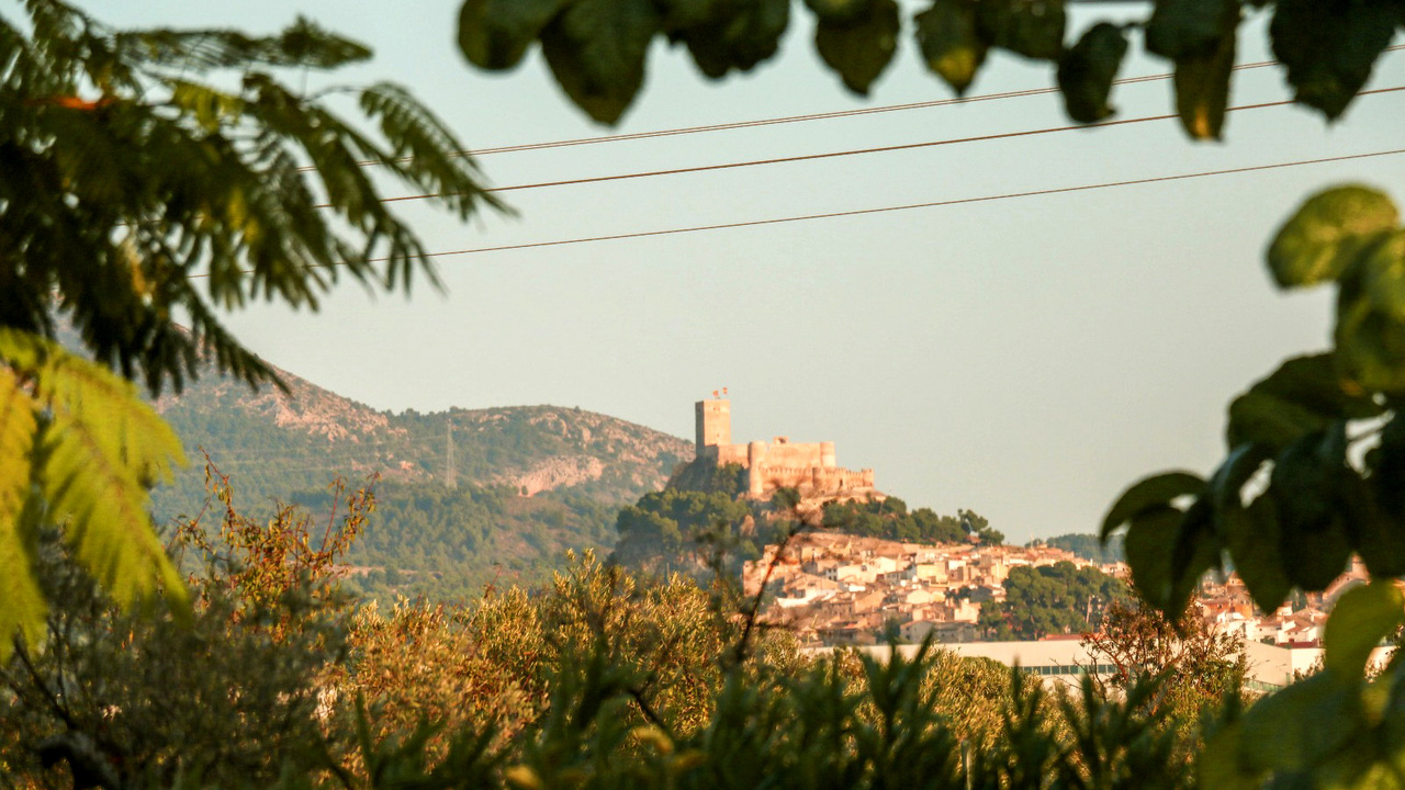 Olive Grove Estates Luxury Spanish Villa with anexe (9)