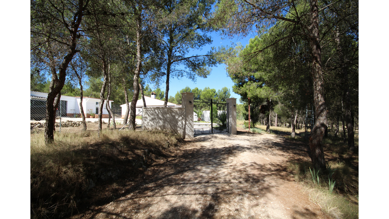 27. Road Entrance