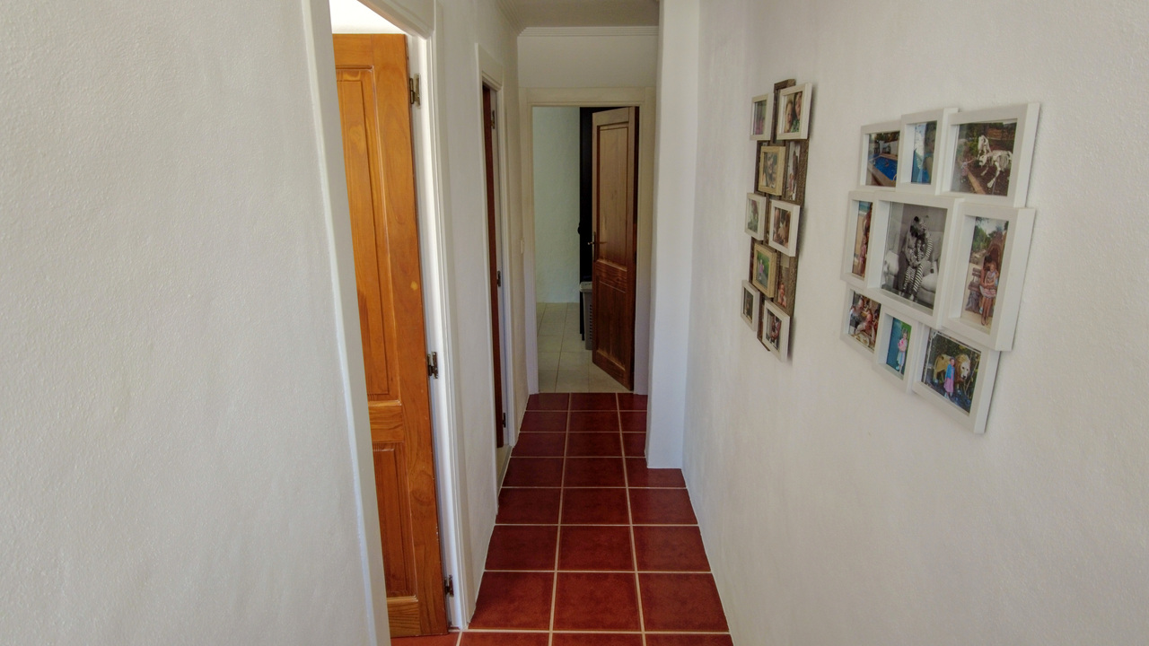 Olive Grove Estates Sax Alicante Property for sale Spain (45)