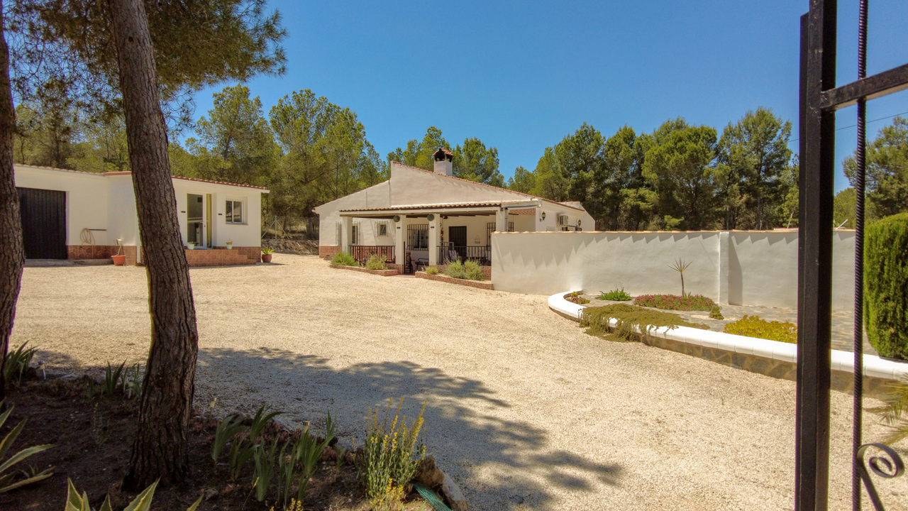 Olive Grove Estates Sax Alicante Property for sale Spain (59)