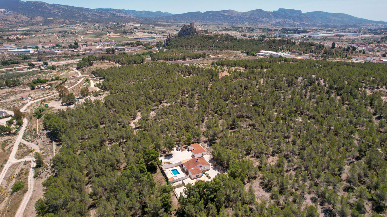 OLive grove Estates Sax Alicante Spanish house for sale B&B (8)_edited