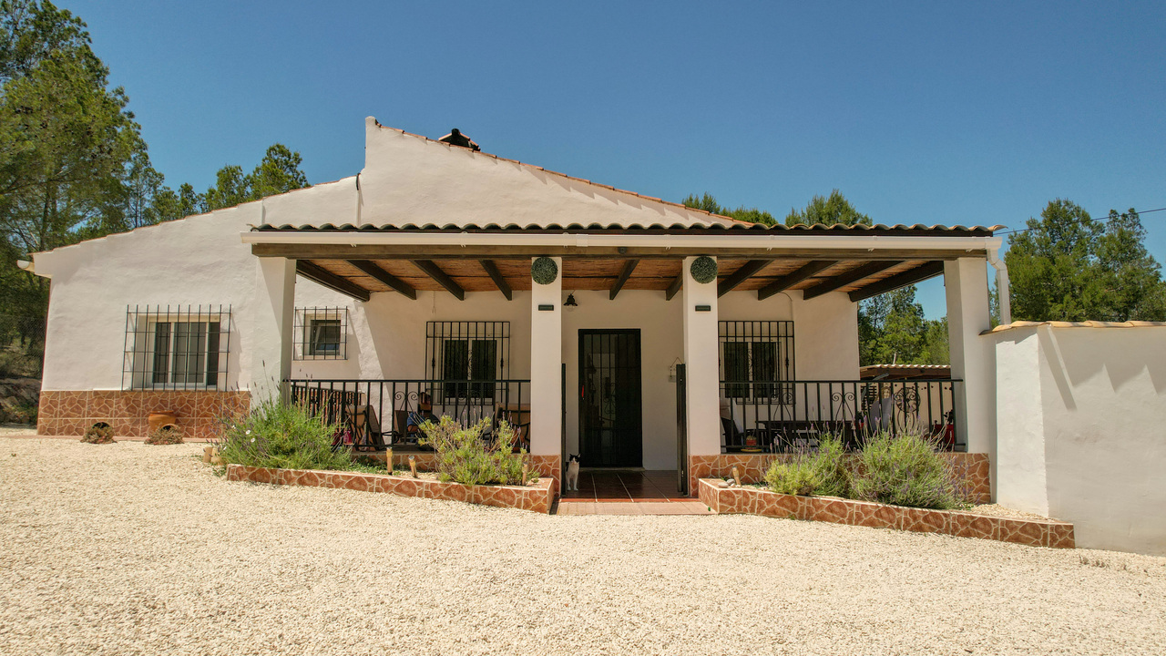 OLive grove Estates Sax Alicante Spanish house for sale B&B (10)_edited