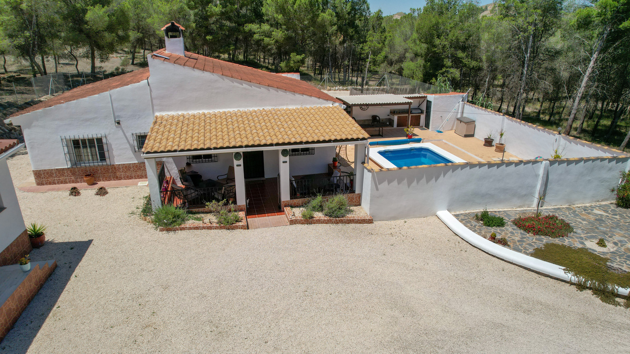 OLive grove Estates Sax Alicante Spanish house for sale B&B (11)_edited