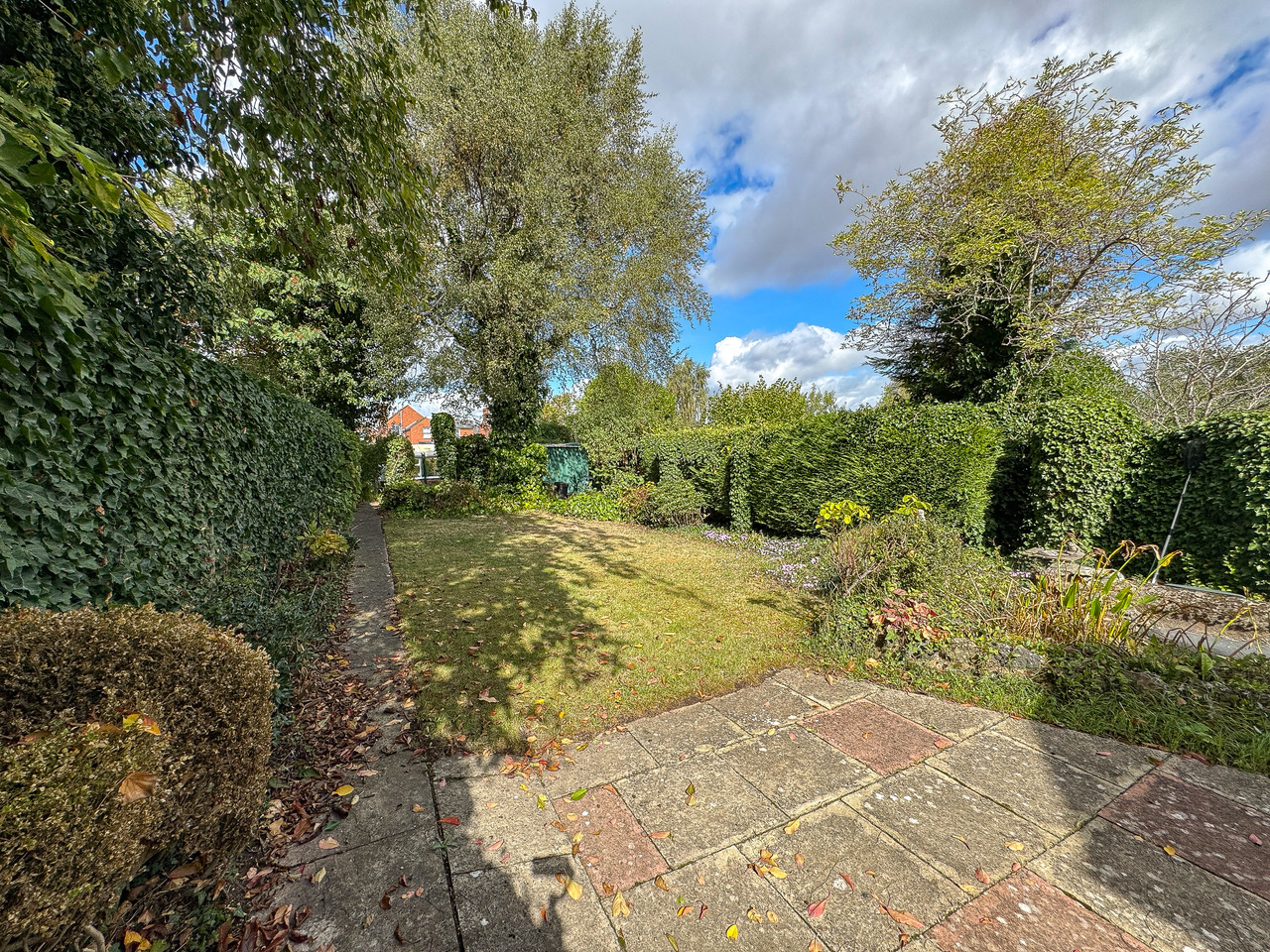 Garden (2)