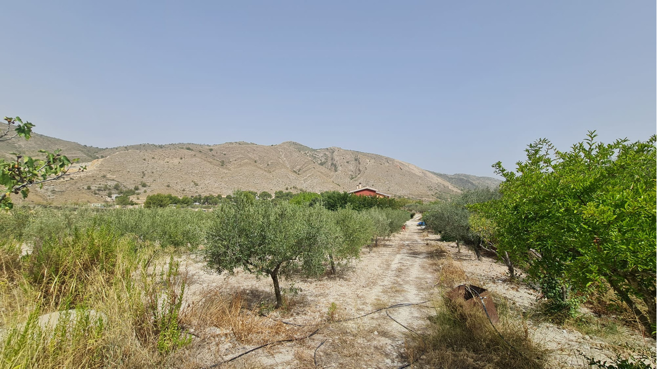 Villa via stratus (7)