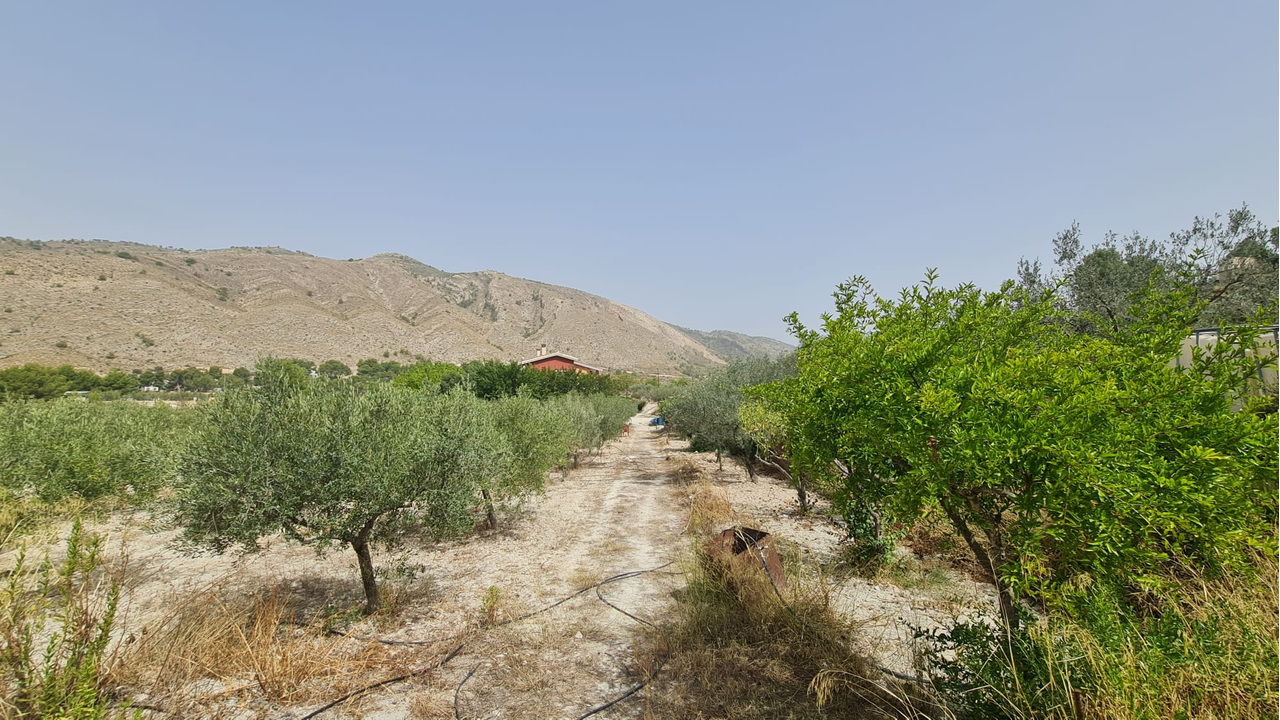 Villa via stratus (9)