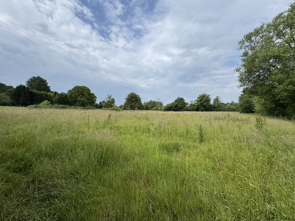 The Loseley, Tilthams Corner Road, Bramley, Guildford, Surrey, GU5 0BT