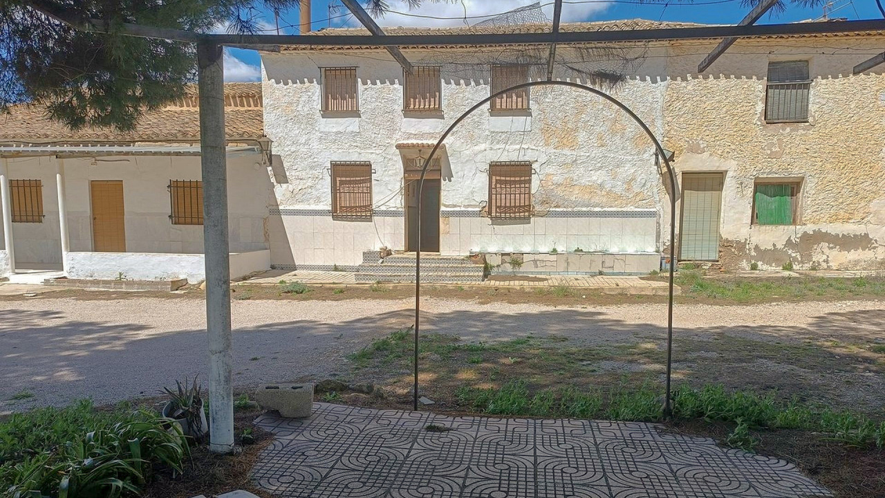 Olive Grove Estates Yecla Farm for sale Spain lots of land (7)