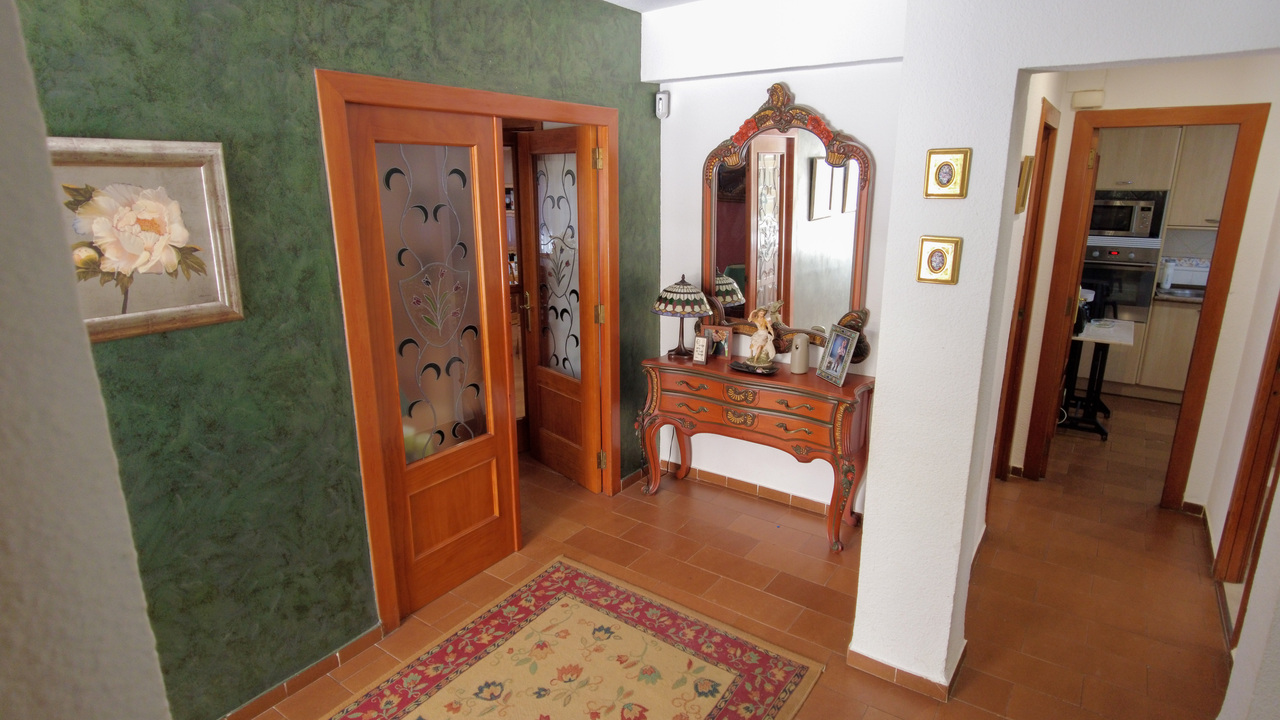 Olive Grove Estates large Villa Almansa Alicante Valencia forest buy a home in Spain (18)
