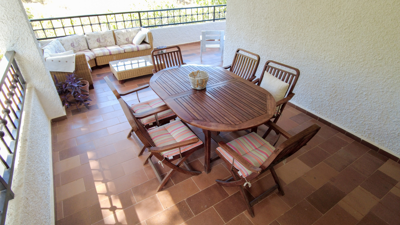 Olive Grove Estates large Villa Almansa Alicante Valencia forest buy a home in Spain (36)