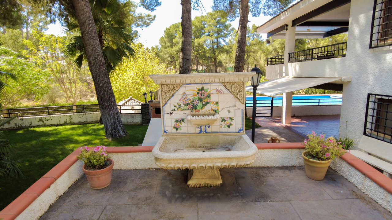 Olive Grove Estates large Villa Almansa Alicante Valencia forest buy a home in Spain (67)
