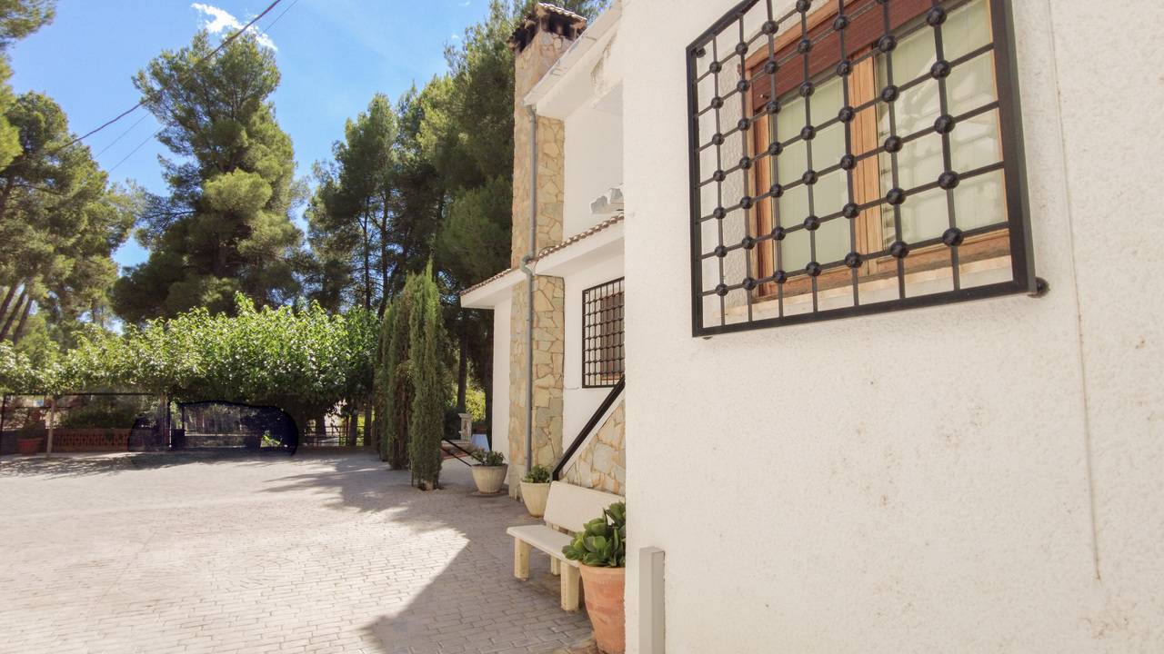 Olive Grove Estates large Villa Almansa Alicante Valencia forest buy a home in Spain (69)