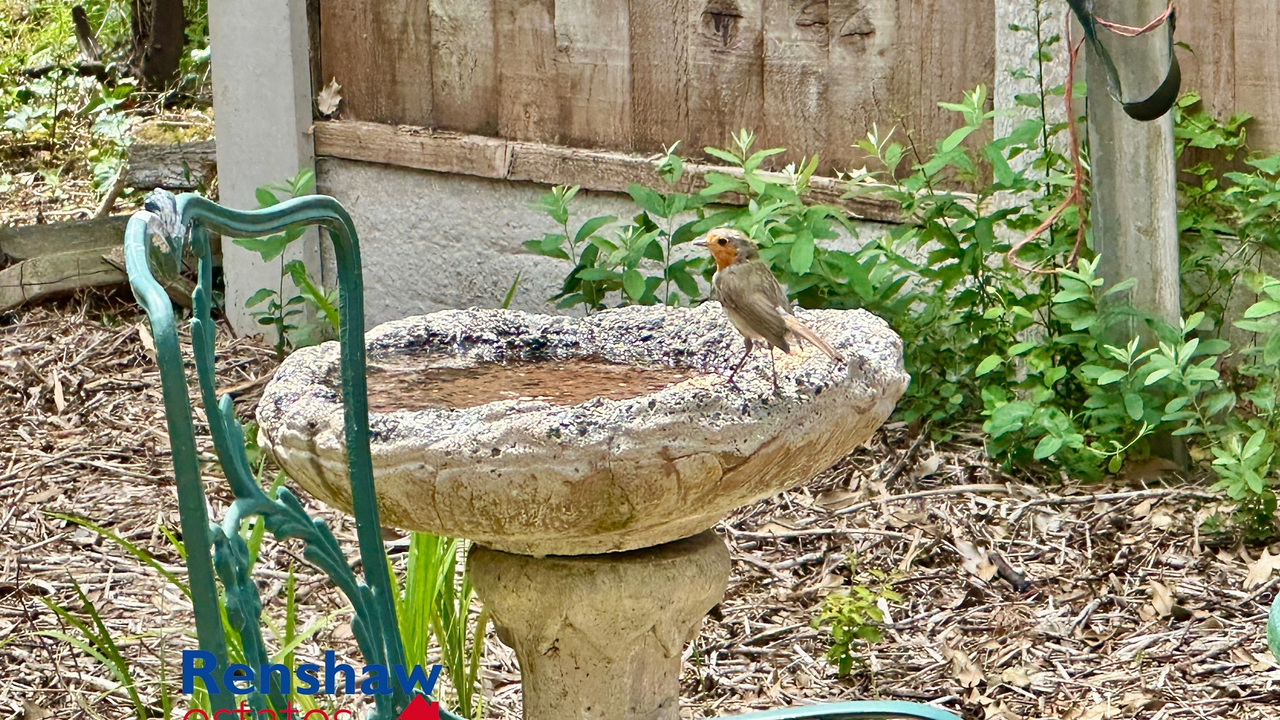 ROBIN