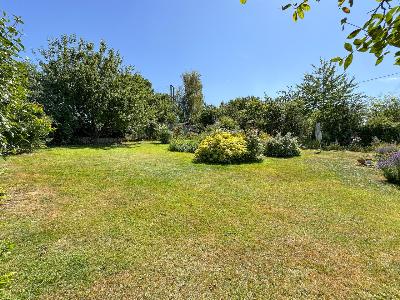 Garden (3)