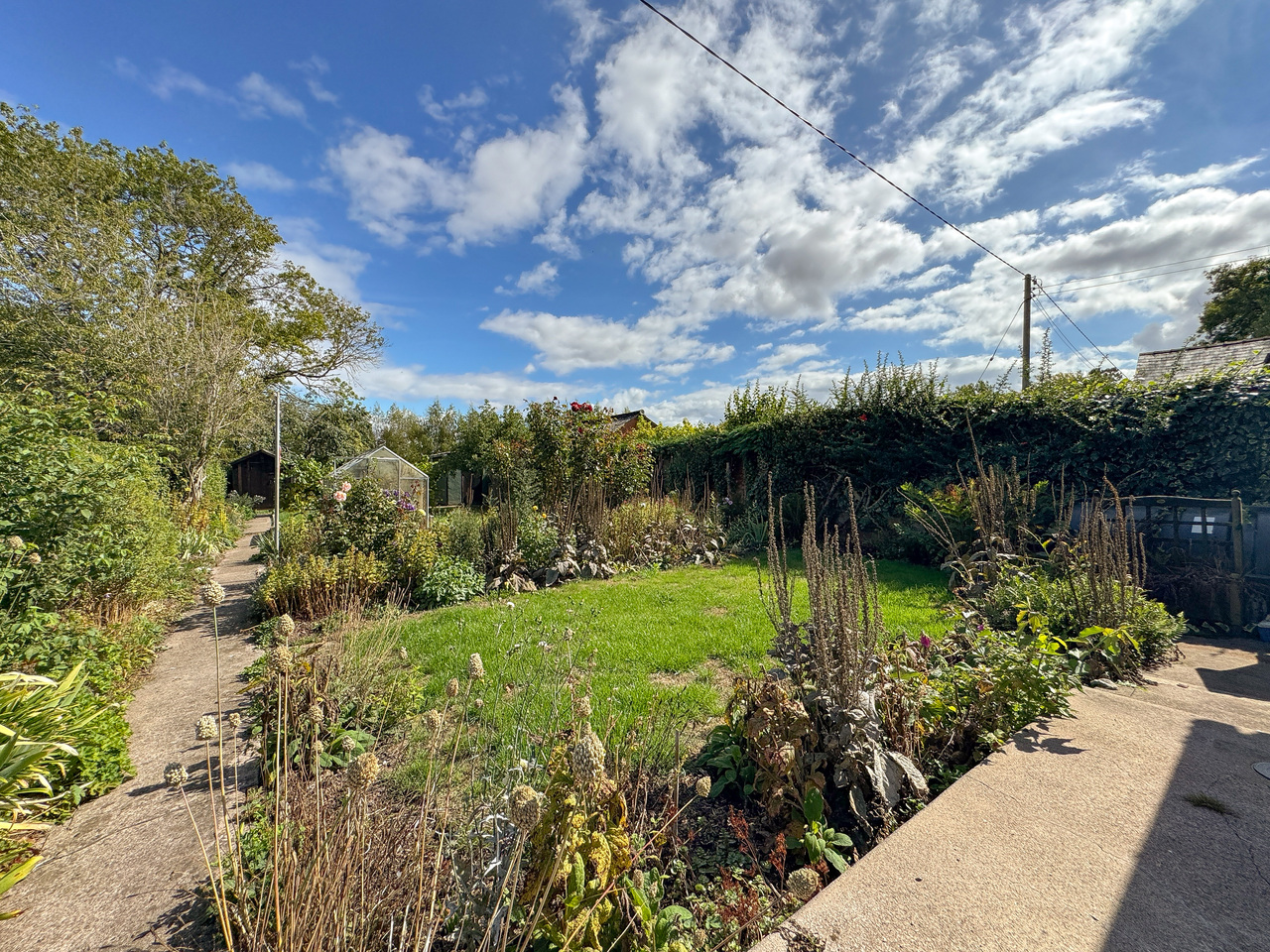Garden (2)