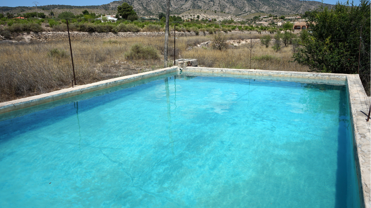 Olive Grove Estates Monovar Alicante Real Inmobiliario Trusted Best Spain (36).JPG