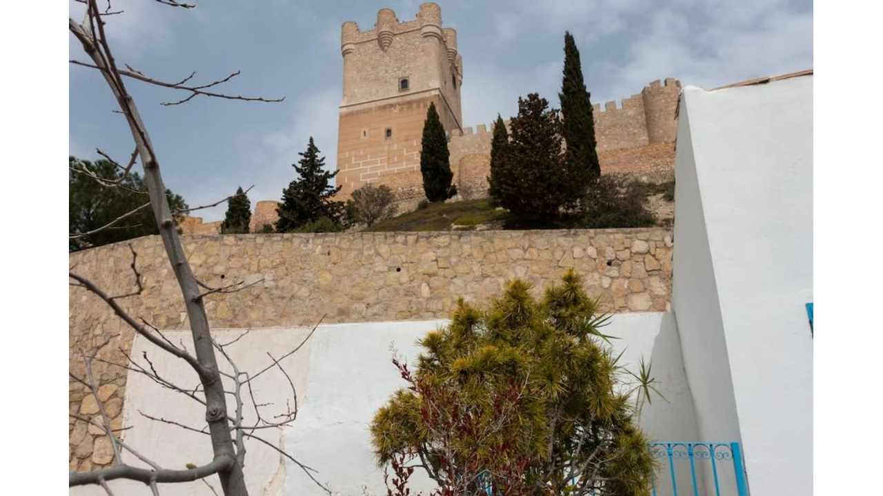 Olive Grove Estates Spsa for sale best real estate agents honest Villena Alicante (19)