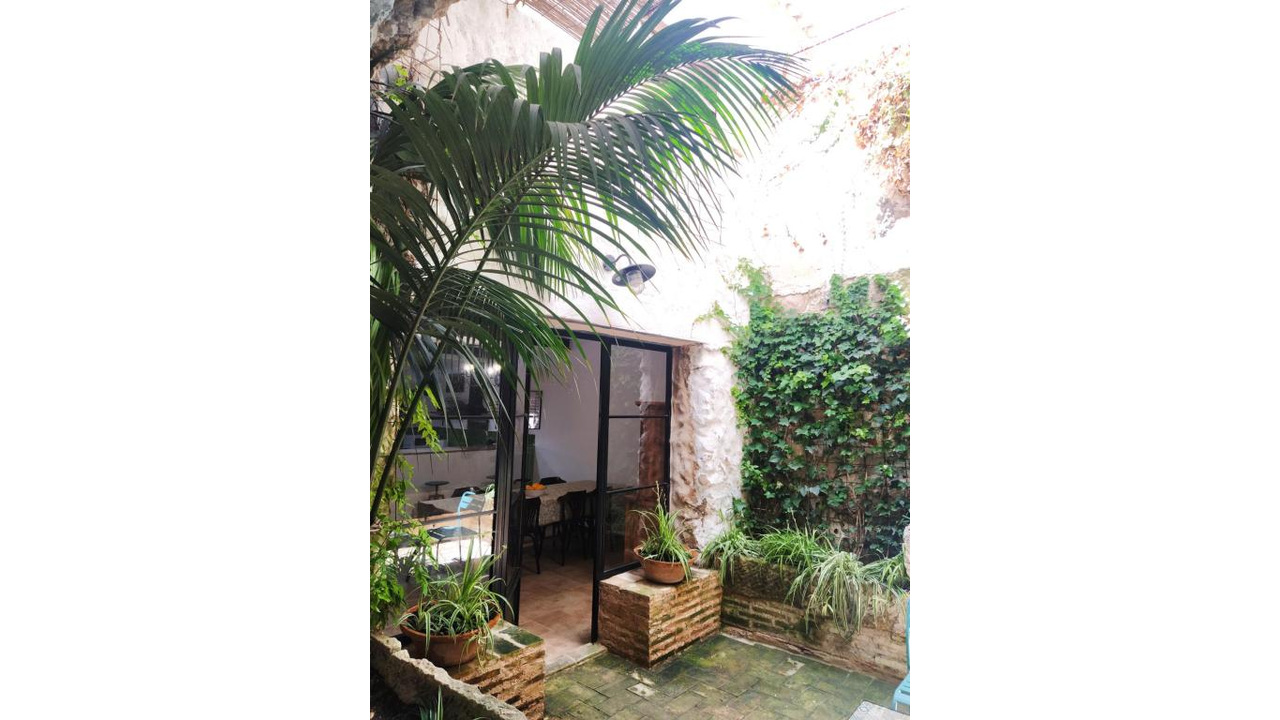 Olive Grove Estates Spsa for sale best real estate agents honest Villena Alicante (29)