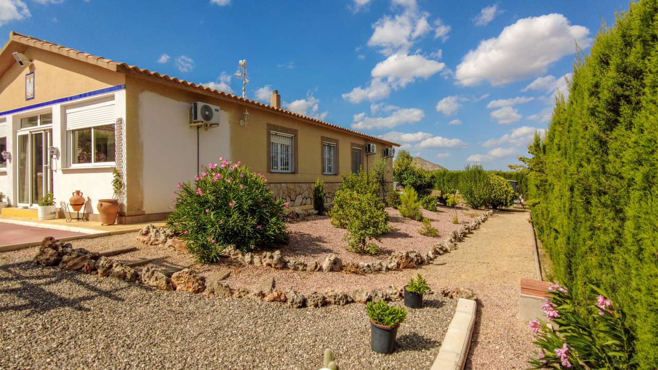 Olive Grove Estates best real estae agents in Alicante Spain bargains (40)