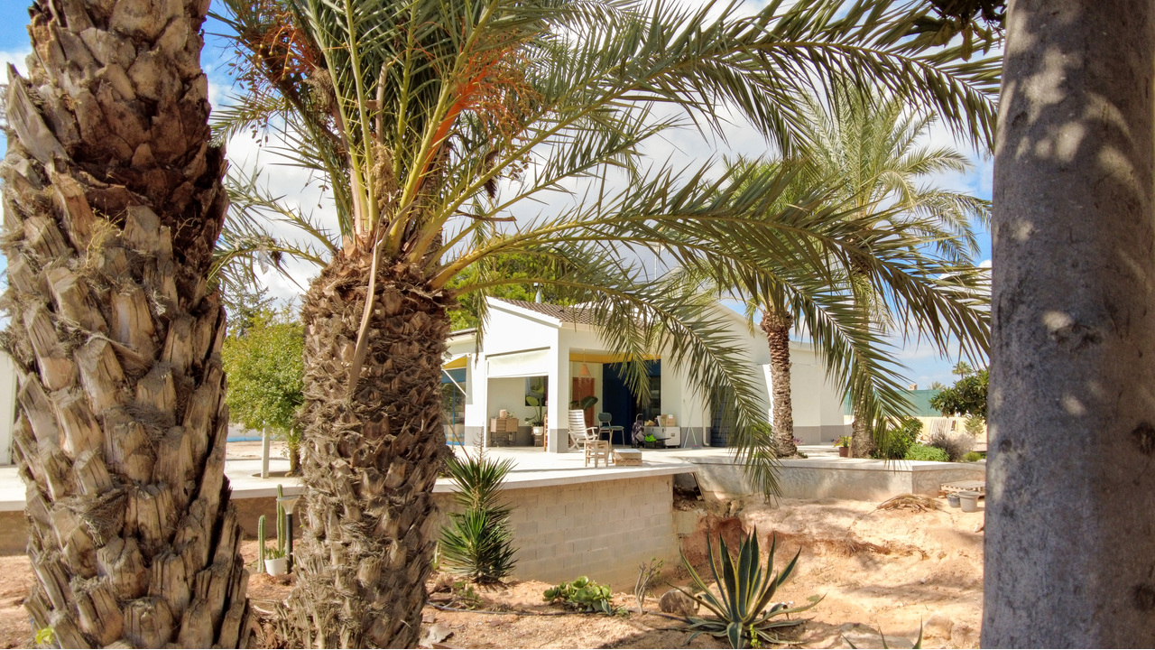 Olive Grove Estates property for sale se vende Elche Alicante Monforte del cid modern eco home house