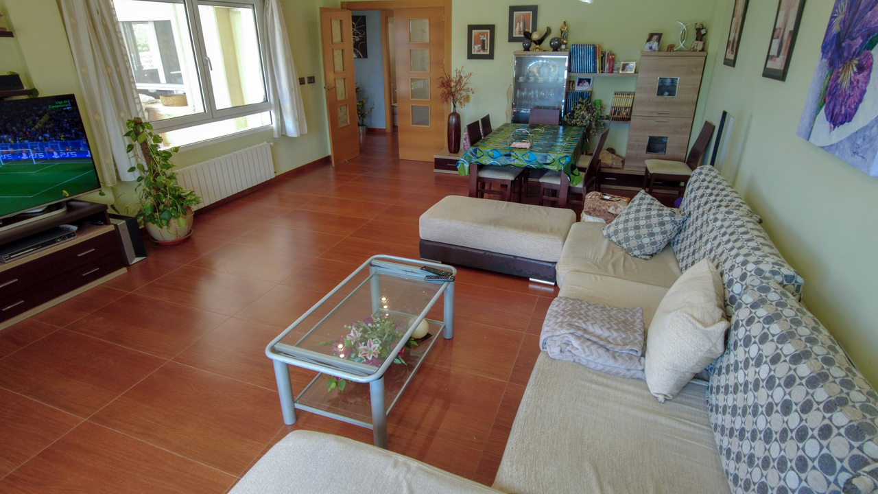 Olive Grove Estates Spanish property realtor agency real Sax Alicante Trusted (6)