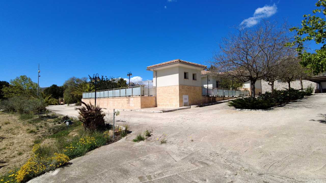 Olive Grove Estates Spanish property realtor agency real Sax Alicante Trusted (23)