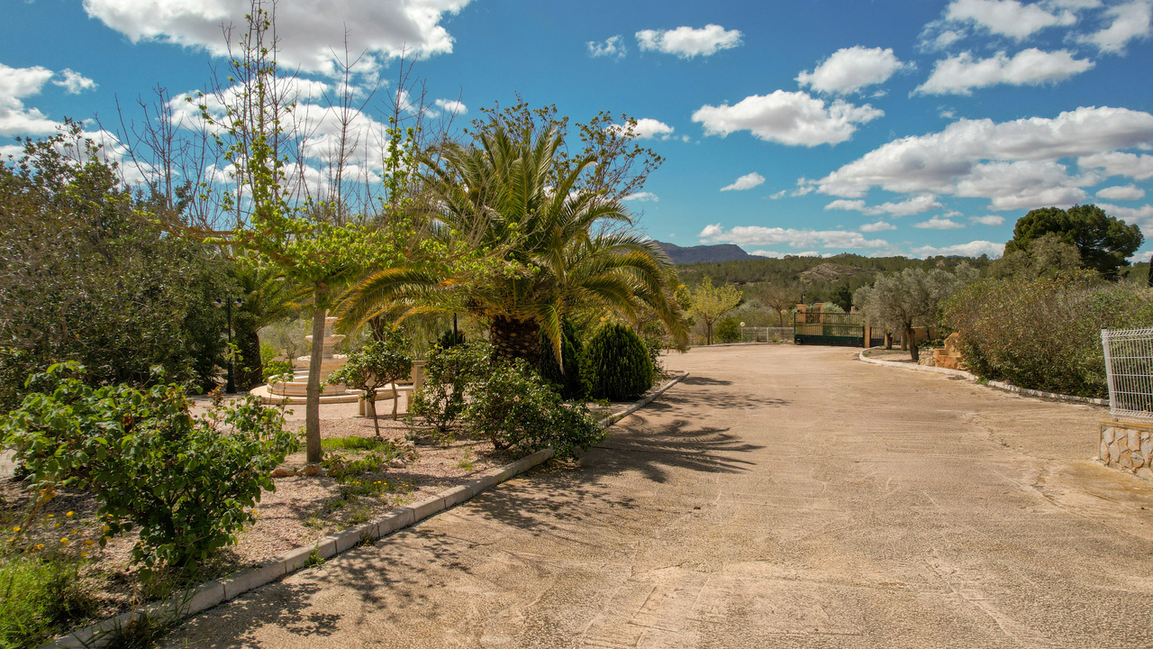 Olive Grove Estates Spanish property realtor agency real Sax Alicante Trusted (34)