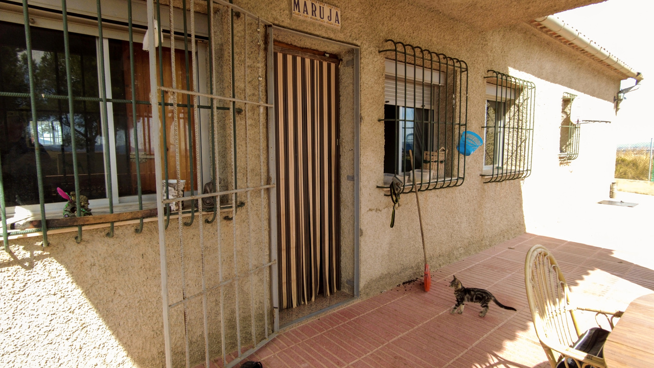 Olive Grove Estates Almansa Villa Country House for sale bargain spanish property (20)