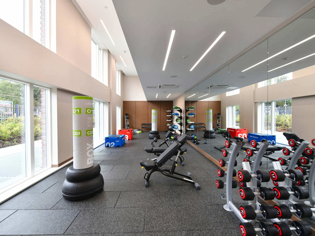 02_-_vb1530940_swn_7919_v1614010194