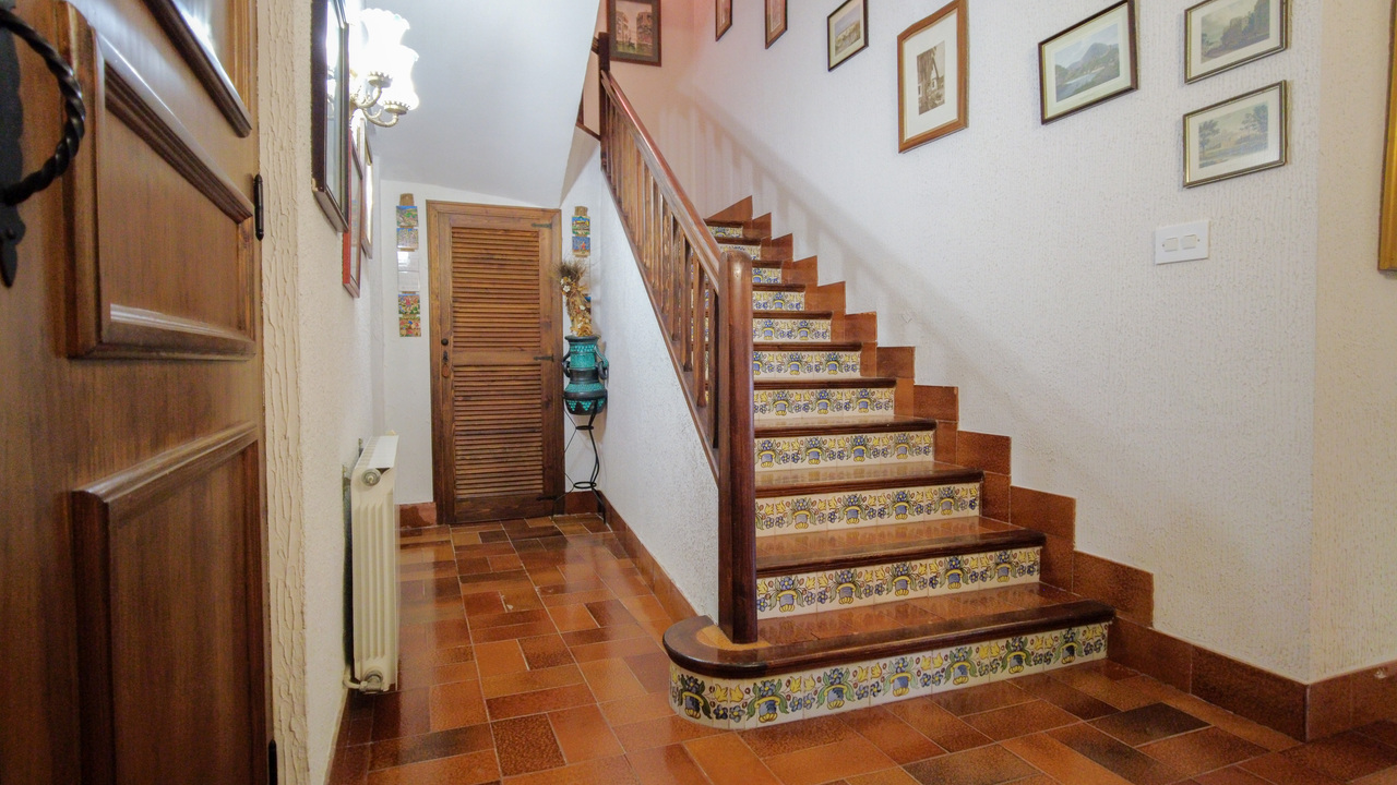 Olive Grove Estates Finca Beties Real Estates Agent Spain Farm  (8)